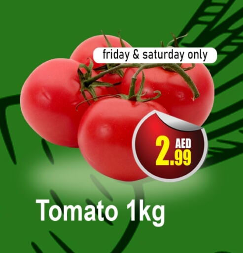 Tomato available at AL MADINA (Dubai) in UAE - Dubai