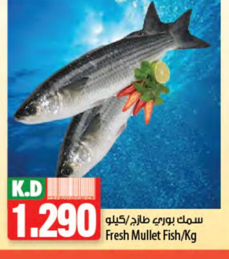 Mango available at Mango Hypermarket  in Kuwait - Ahmadi Governorate