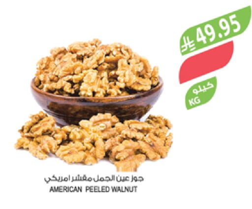 الفواكه المجففة و التمور in المزرعة, المملكة العربية السعودية Offers - المملكة العربية السعودية available at المزرعة in مملكة العربية السعودية, السعودية, سعودية - الباحة