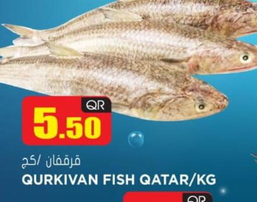 available at جراند هايبرماركت in قطر - الدوحة