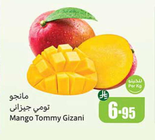 Mango Mangoes available at Othaim Markets in KSA, Saudi Arabia, Saudi - Najran