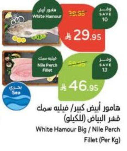 Frozen Fish in Hyper Panda, Saudi Arabia Offers - Saudi Arabia available at Hyper Panda in KSA, Saudi Arabia, Saudi - Al Majmaah