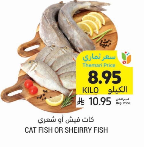 الأسماك الطازجة in أسواق التميمي, المملكة العربية السعودية Offers - المملكة العربية السعودية available at أسواق التميمي in مملكة العربية السعودية, السعودية, سعودية - حفر الباطن
