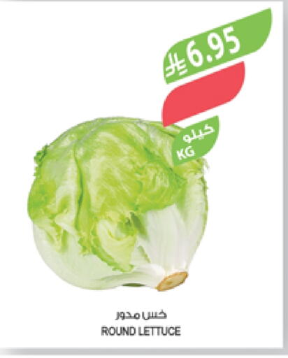 الخضروات الطازجة in المزرعة, المملكة العربية السعودية Offers - المملكة العربية السعودية Lettuce available at المزرعة in مملكة العربية السعودية, السعودية, سعودية - الباحة