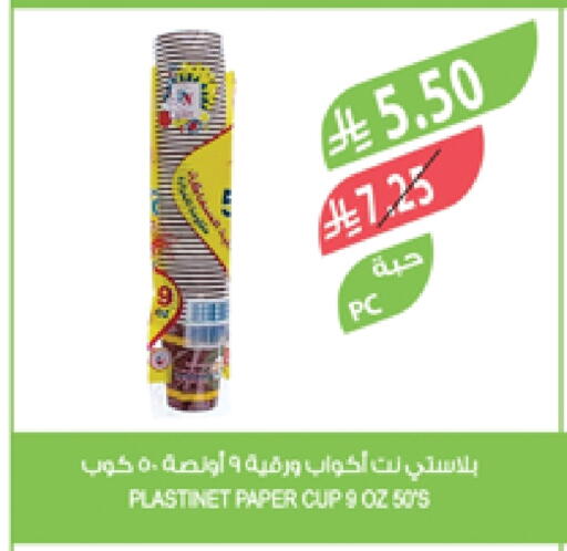 المستهلكات in المزرعة, المملكة العربية السعودية Offers - المملكة العربية السعودية Cup available at المزرعة in مملكة العربية السعودية, السعودية, سعودية - الباحة