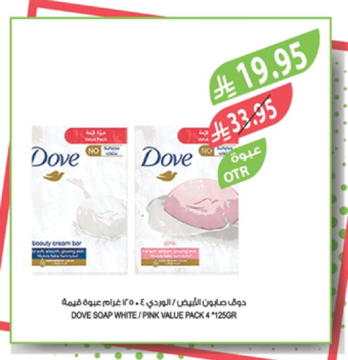 DOVE available at Farm  in KSA, Saudi Arabia, Saudi - Qatif