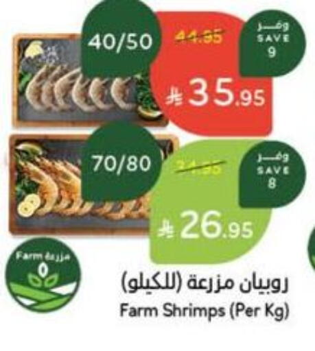 Fresh Fish in Hyper Panda, Saudi Arabia Offers - Saudi Arabia available at Hyper Panda in KSA, Saudi Arabia, Saudi - Al Majmaah