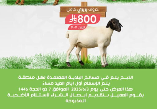 اللحوم الطازجة والمبردة in المزرعة, المملكة العربية السعودية Offers - المملكة العربية السعودية available at المزرعة in مملكة العربية السعودية, السعودية, سعودية - الباحة