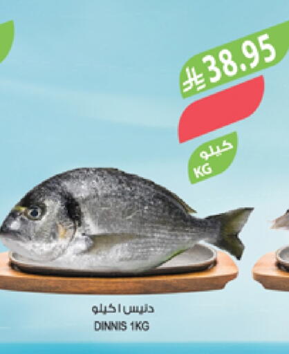 available at المزرعة in مملكة العربية السعودية, السعودية, سعودية - الخبر‎