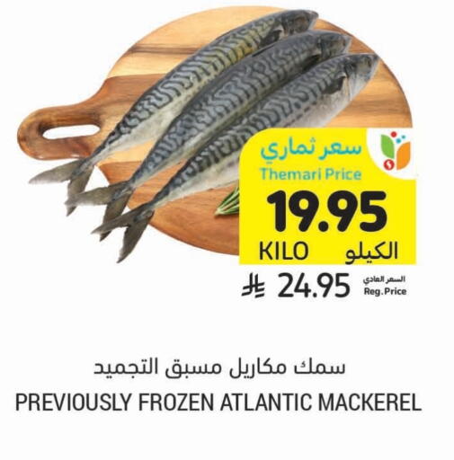 الأسماك الطازجة in أسواق التميمي, المملكة العربية السعودية Offers - المملكة العربية السعودية available at أسواق التميمي in مملكة العربية السعودية, السعودية, سعودية - حفر الباطن