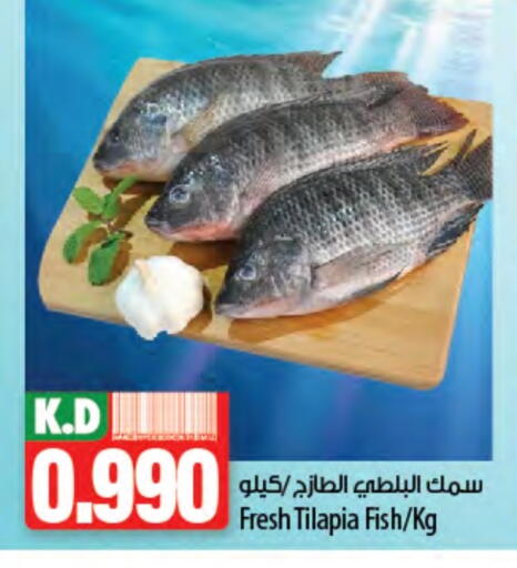 Mango available at Mango Hypermarket  in Kuwait - Ahmadi Governorate