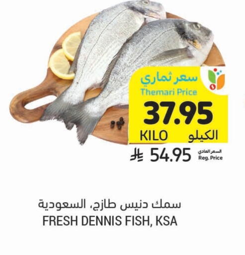 الأسماك الطازجة in أسواق التميمي, المملكة العربية السعودية Offers - المملكة العربية السعودية available at أسواق التميمي in مملكة العربية السعودية, السعودية, سعودية - حفر الباطن