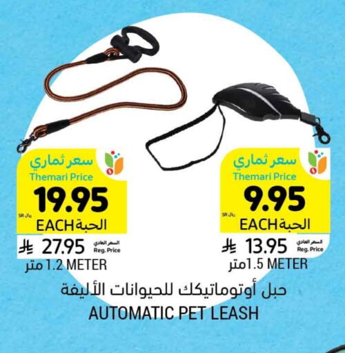 Pets in Tamimi Market, Saudi Arabia Offers - Saudi Arabia available at Tamimi Market in KSA, Saudi Arabia, Saudi - Riyadh