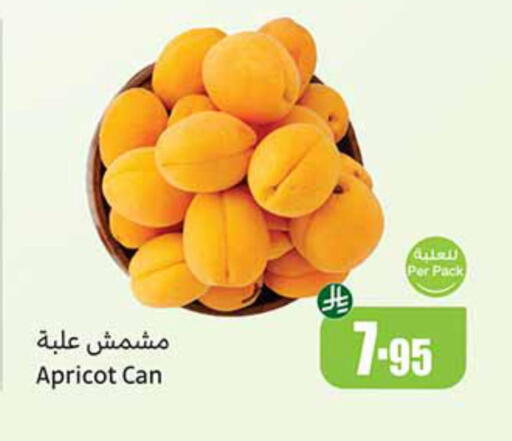فاكهة طازجة in أسواق عبد الله العثيم, المملكة العربية السعودية Offers - المملكة العربية السعودية Apricot available at أسواق عبد الله العثيم in مملكة العربية السعودية, السعودية, سعودية - الدوادمي