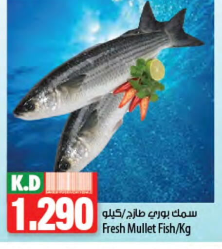 Mango available at Mango Hypermarket  in Kuwait - Ahmadi Governorate