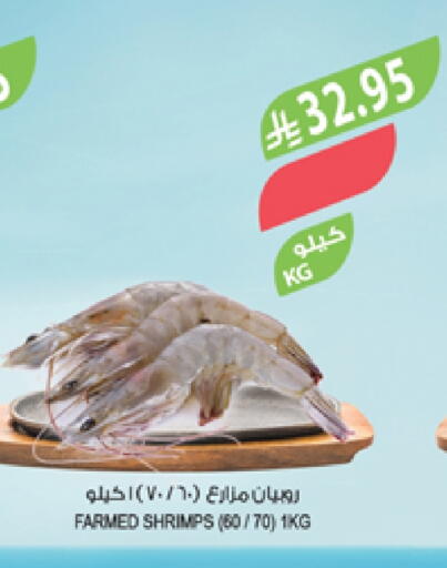 الأسماك الطازجة in المزرعة, المملكة العربية السعودية Offers - المملكة العربية السعودية available at المزرعة in مملكة العربية السعودية, السعودية, سعودية - الباحة