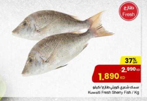 available at The Sultan Center in Kuwait - Ahmadi Governorate