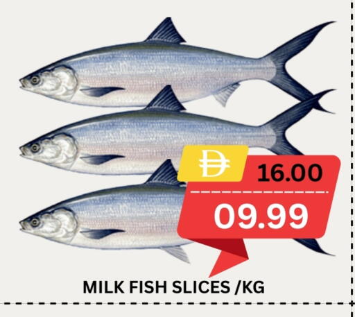 available at ROYAL GULF HYPERMARKET LLC in UAE - Abu Dhabi