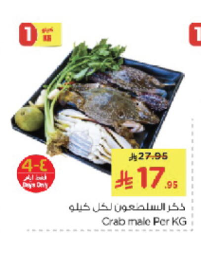 available at نستو in مملكة العربية السعودية, السعودية, سعودية - الخبر‎
