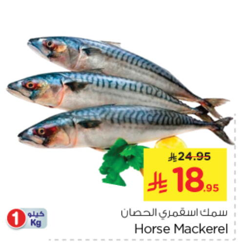 Fresh Fish in Nesto, Saudi Arabia Offers - Saudi Arabia available at Nesto in KSA, Saudi Arabia, Saudi - Al Majmaah