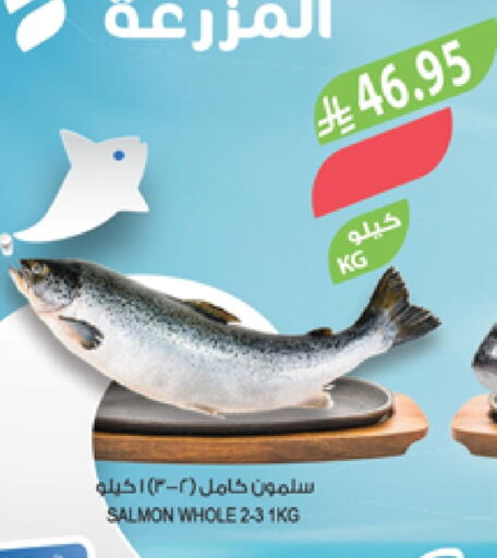 available at المزرعة in مملكة العربية السعودية, السعودية, سعودية - الخبر‎