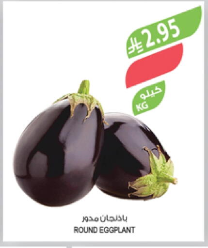 الخضروات الطازجة in المزرعة, المملكة العربية السعودية Offers - المملكة العربية السعودية Eggplant available at المزرعة in مملكة العربية السعودية, السعودية, سعودية - الباحة