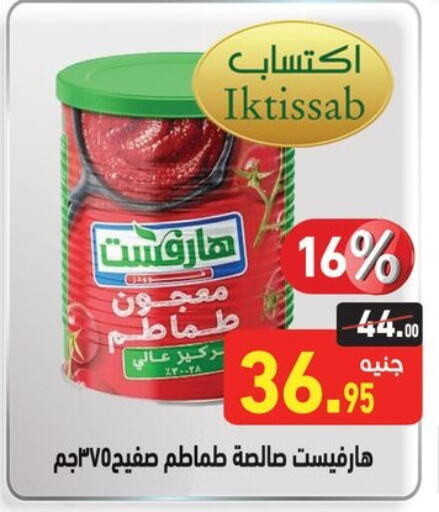 Salts, Spices & Paste in Othaim Market , Egypt Offers - Egypt Tomato Paste available at Othaim Market in Egypt - Cairo