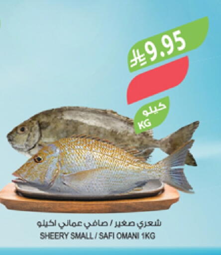 الأسماك الطازجة in المزرعة, المملكة العربية السعودية Offers - المملكة العربية السعودية available at المزرعة in مملكة العربية السعودية, السعودية, سعودية - الباحة