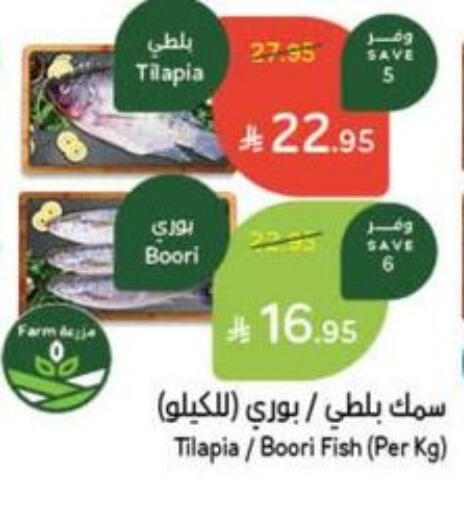 Fresh Fish in Hyper Panda, Saudi Arabia Offers - Saudi Arabia available at Hyper Panda in KSA, Saudi Arabia, Saudi - Al Majmaah