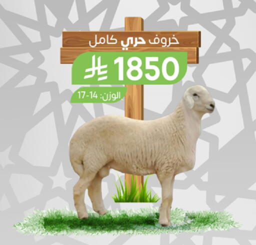 اللحوم الطازجة والمبردة in المزرعة, المملكة العربية السعودية Offers - المملكة العربية السعودية available at المزرعة in مملكة العربية السعودية, السعودية, سعودية - الباحة