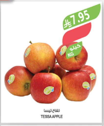 فاكهة طازجة in المزرعة, المملكة العربية السعودية Offers - المملكة العربية السعودية تفاح available at المزرعة in مملكة العربية السعودية, السعودية, سعودية - الباحة