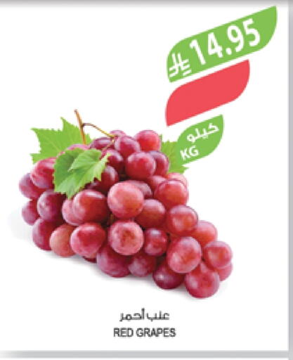 فاكهة طازجة in المزرعة, المملكة العربية السعودية Offers - المملكة العربية السعودية عنب available at المزرعة in مملكة العربية السعودية, السعودية, سعودية - الباحة