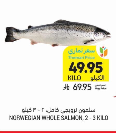 الأسماك الطازجة in أسواق التميمي, المملكة العربية السعودية Offers - المملكة العربية السعودية available at أسواق التميمي in مملكة العربية السعودية, السعودية, سعودية - حفر الباطن