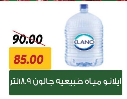 available at Sarai Market  in Egypt - Cairo