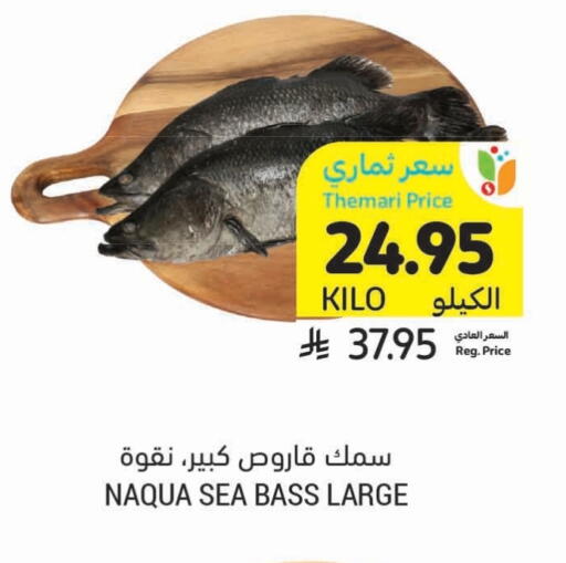 الأسماك الطازجة in أسواق التميمي, المملكة العربية السعودية Offers - المملكة العربية السعودية available at أسواق التميمي in مملكة العربية السعودية, السعودية, سعودية - حفر الباطن