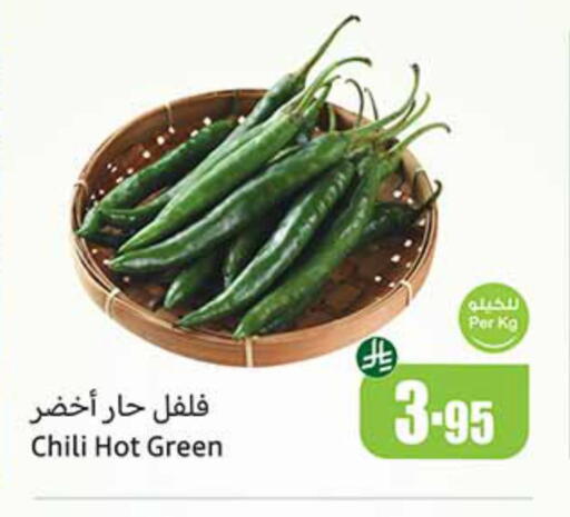 الخضروات الطازجة in أسواق عبد الله العثيم, المملكة العربية السعودية Offers - المملكة العربية السعودية فلفل / فليفلة available at أسواق عبد الله العثيم in مملكة العربية السعودية, السعودية, سعودية - الدوادمي