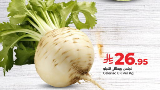الخضروات الطازجة in لولو هايبرماركت, المملكة العربية السعودية Offers - المملكة العربية السعودية كرفس available at لولو هايبرماركت in مملكة العربية السعودية, السعودية, سعودية - حفر الباطن