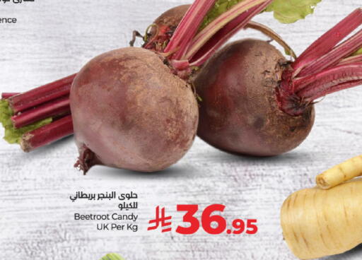 الخضروات الطازجة in لولو هايبرماركت, المملكة العربية السعودية Offers - المملكة العربية السعودية شمندر available at لولو هايبرماركت in مملكة العربية السعودية, السعودية, سعودية - حفر الباطن
