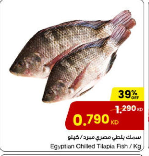 available at The Sultan Center in Kuwait - Ahmadi Governorate