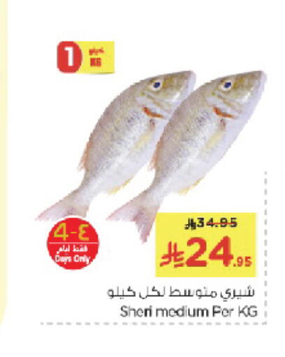 available at نستو in مملكة العربية السعودية, السعودية, سعودية - الخبر‎