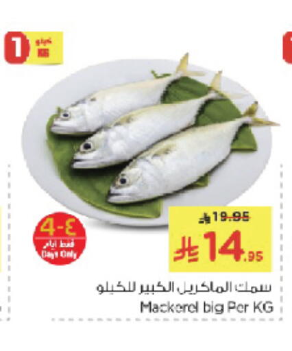 available at نستو in مملكة العربية السعودية, السعودية, سعودية - الخبر‎
