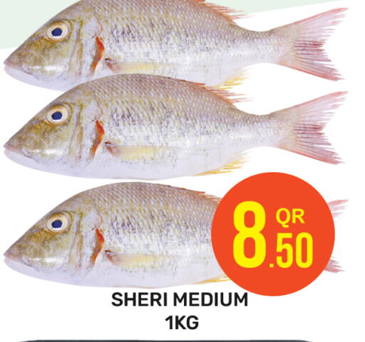 الأسماك الطازجة in مجلس هايبرماركت, قطر Offers - قطر available at مجلس هايبرماركت in قطر - الريان