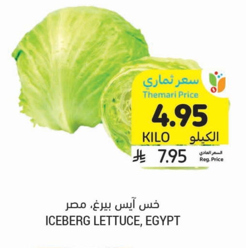 الخضروات الطازجة in أسواق التميمي, المملكة العربية السعودية Offers - المملكة العربية السعودية Lettuce from Egypt available at أسواق التميمي in مملكة العربية السعودية, السعودية, سعودية - حفر الباطن