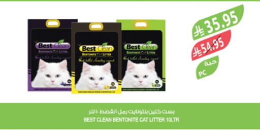 Pets in Farm , Saudi Arabia Offers - Saudi Arabia available at Farm in KSA, Saudi Arabia, Saudi - Riyadh
