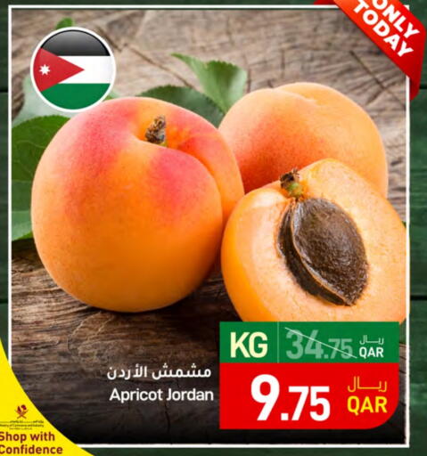 Apricot from Jordan available at ســبــار in قطر - الخور