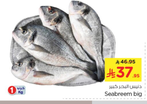 Fresh Fish in Nesto, Saudi Arabia Offers - Saudi Arabia available at Nesto in KSA, Saudi Arabia, Saudi - Al Majmaah