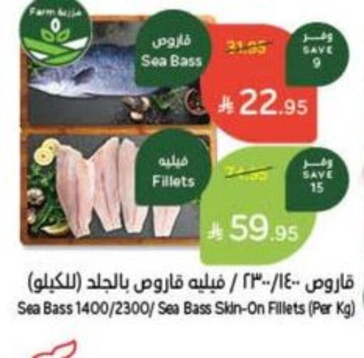 العناية بالوجه والبشرة in هايبر بنده, المملكة العربية السعودية Offers - المملكة العربية السعودية available at هايبر بنده in مملكة العربية السعودية, السعودية, سعودية - حفر الباطن