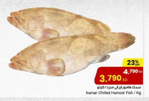 available at The Sultan Center in Kuwait - Ahmadi Governorate