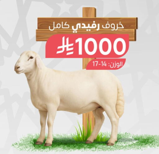 اللحوم الطازجة والمبردة in المزرعة, المملكة العربية السعودية Offers - المملكة العربية السعودية available at المزرعة in مملكة العربية السعودية, السعودية, سعودية - الباحة