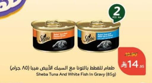 Pets in Hyper Panda, Saudi Arabia Offers - Saudi Arabia available at Hyper Panda in KSA, Saudi Arabia, Saudi - Al Majmaah